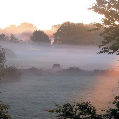 2012 Esher Dawn